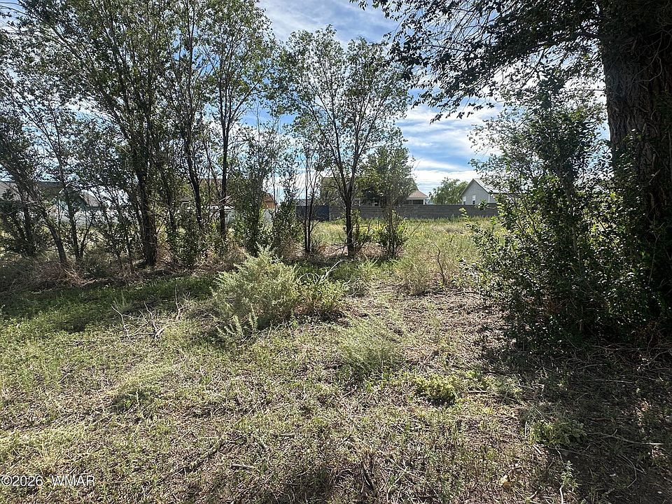 2nd image of LOT 143 S River Rd