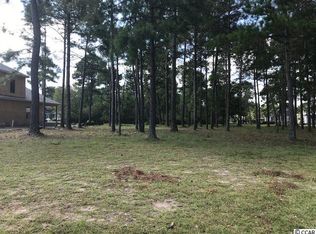 946 Fiddlehead Way LOT 371, Myrtle Beach, SC 29579