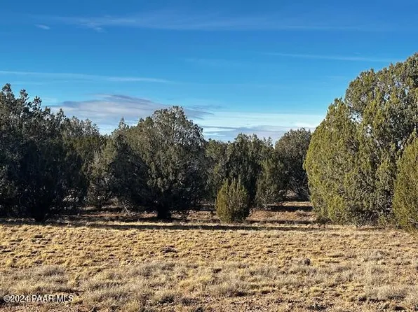 37916=A W Howling Coyote Rd, Seligman, AZ 86337