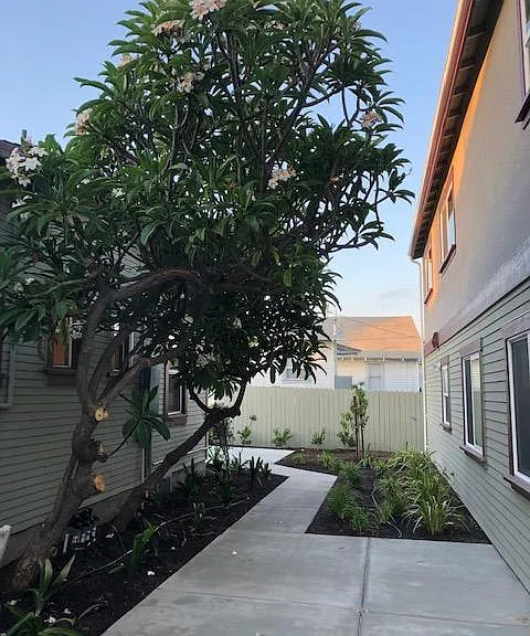 N Madrona Ave — Photo 17