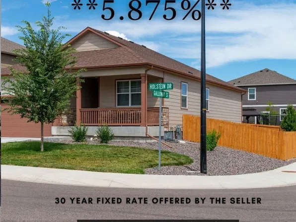 14554 Holstein Street, Mead, CO 80542