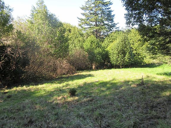 4th image of 30010 Little Creek Ct
