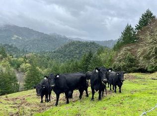 5 Conklin Creek Rd, Petrolia, CA 95558