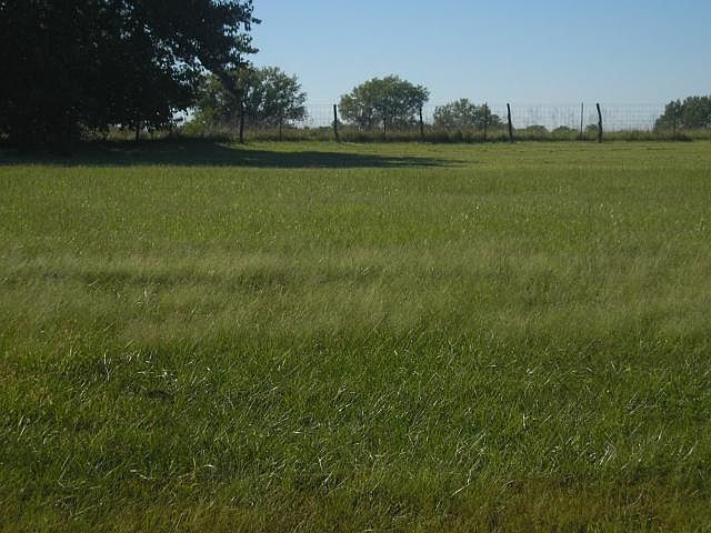 2nd image of LOT 51 Tower Dr