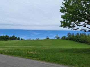 0 Mountain Tom Rd, Springfield Center, NY 13468
