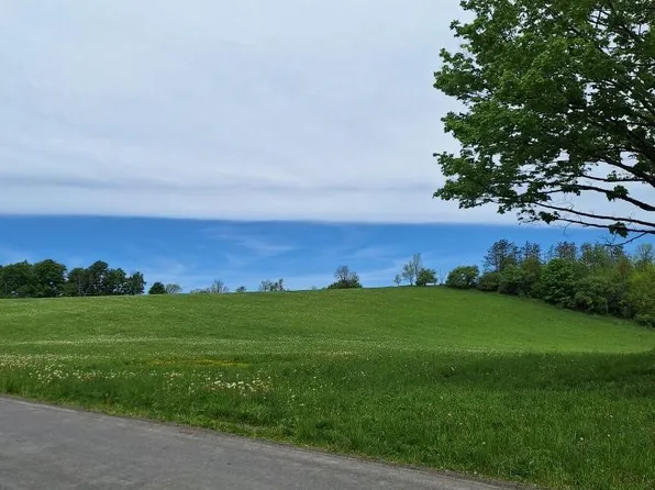0 Mountain Tom Rd, Springfield Center, NY 13468