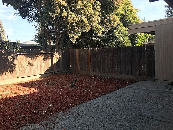 Backyard & Patio Area