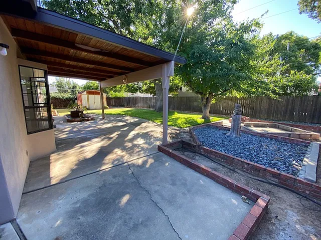 Shared Backyard
