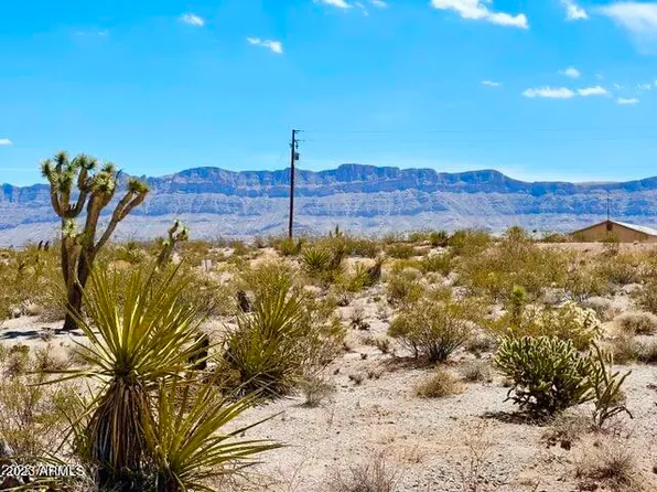 30390 N DUTTON Drive #182, Meadview, AZ 86444