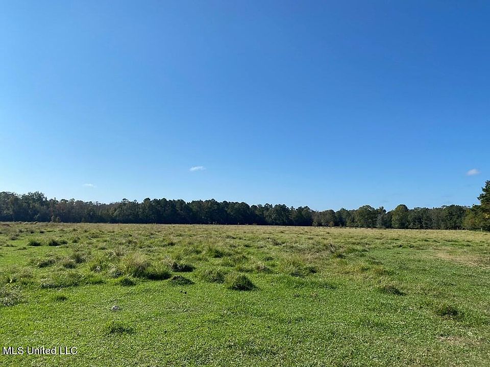 260 Mitchell Chapel Rd, Poplarville, MS 39470 | MLS #4032710 | Zillow