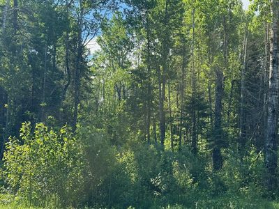 1576 County Road 8, Holyoke, MN, 55749