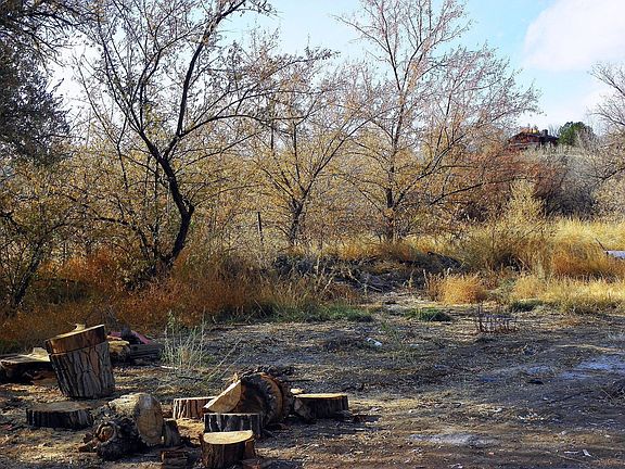 wood chopping area