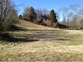 2nd image of 113 Forest Ln N