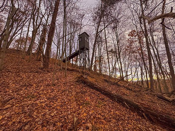 24th image of this home