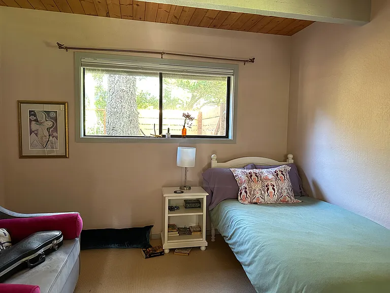 Downstairs bedroom, twin and pull out couch