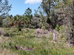 18167 Quinton Rd, Brooksville, FL 34614