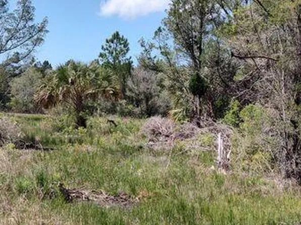 18167 Quinton Rd, Brooksville, FL 34614