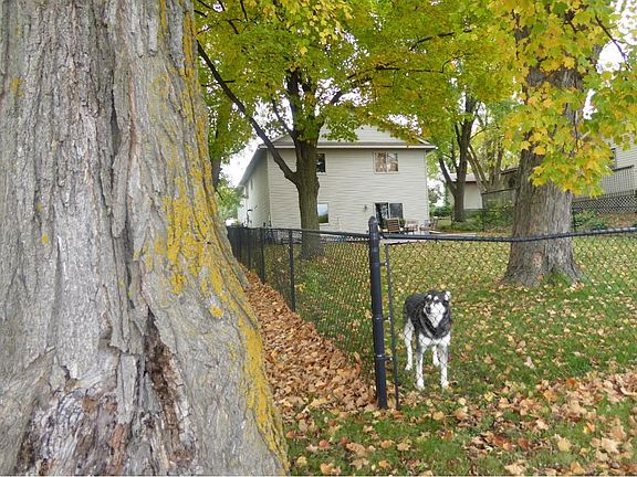 PEACEFUL LIVING IN THE COUNTRY Pooch friendly fenced yard