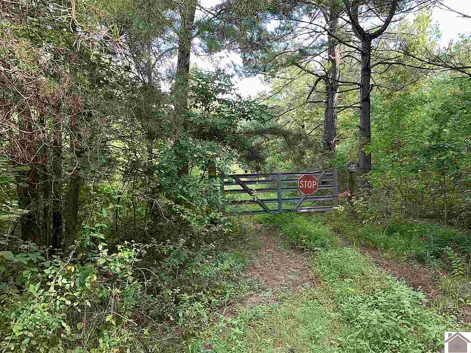 1st image of 125 Cotton Back Rd