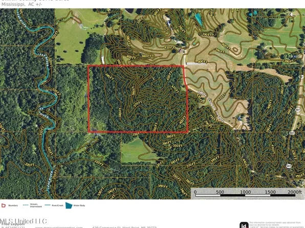 Smith County Rd #501-2, Raleigh, MS 39153