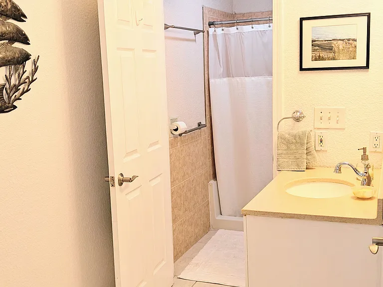 Primary bedroom's bathroom. Closet to the right of the sink.