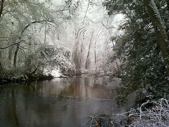 Through the Seasons