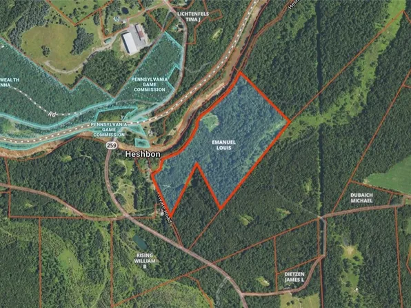 Along Heshbon Rd, Blairsville, PA 15717