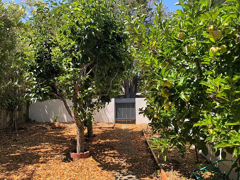 Jacaranda Cir — Photo 33