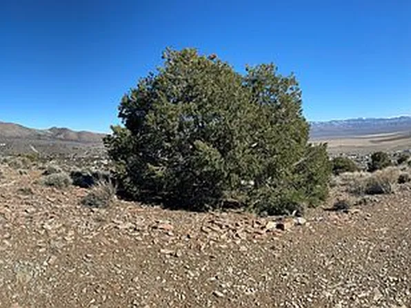 1455 Topaz Ranch Dr, Wellington, NV 89444