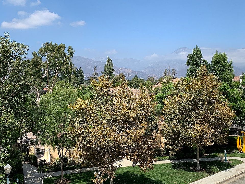 View from living room