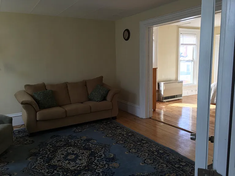 Living room fold out couch