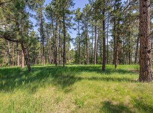 LOT Bb Cliff Dr, Piedmont, SD 57769