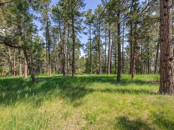 LOT Bb Cliff Dr, Piedmont, SD 57769