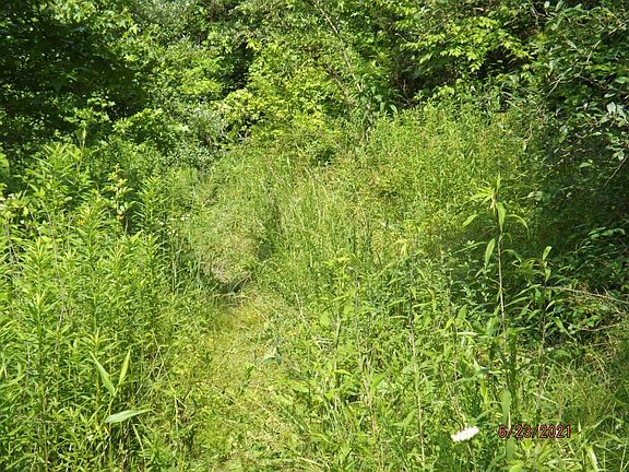 4th image of Roaring Fork Rd