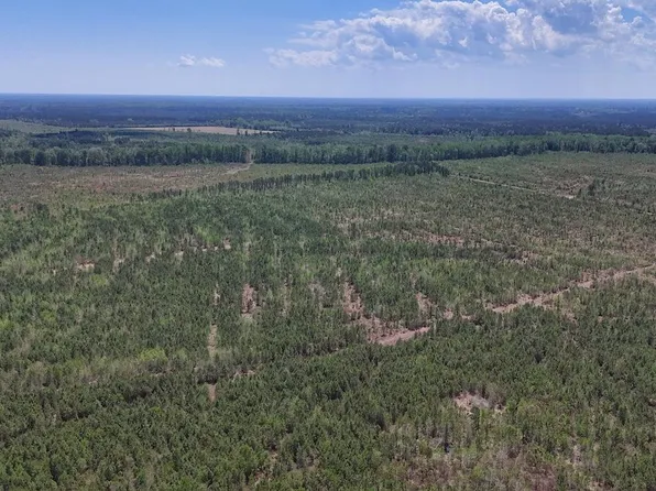 0 Guinea Mill Rd Lot 12, Ernul, NC 28527