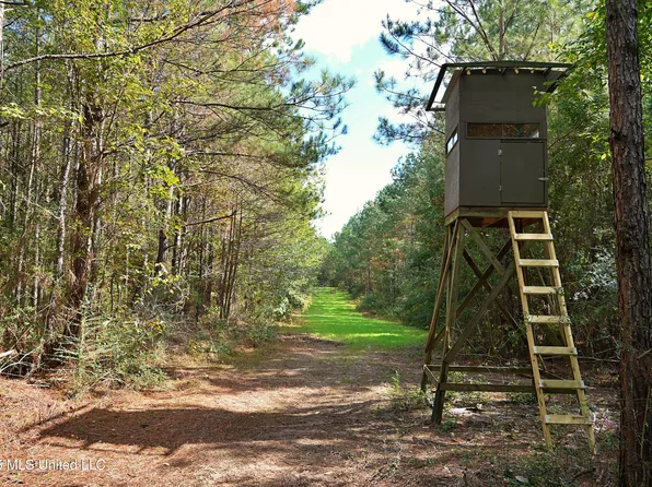 Pleasant Grove Rd SE, Ruth, MS 39662