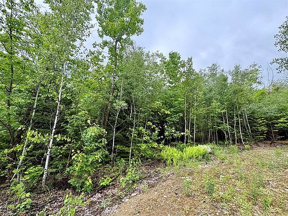 5th image of LOT 4 Mount Jefferson Hts