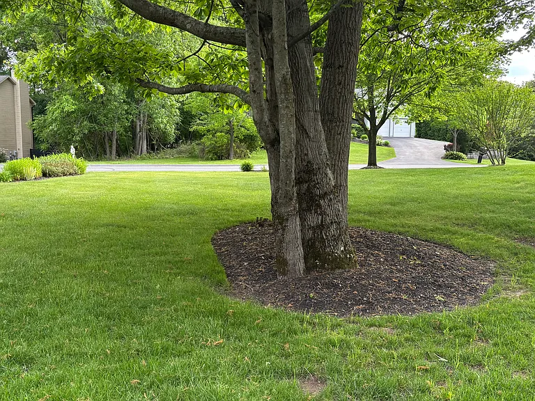 Front Lawn