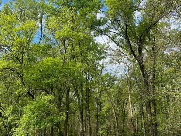 15 Fm 1848, Buffalo, TX 75831