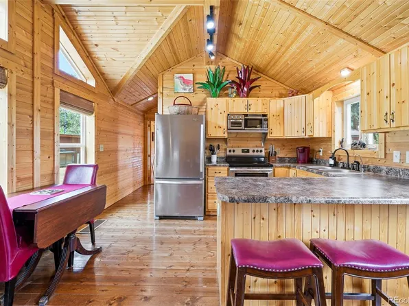 280 Bunny Road, Bailey, CO 80421