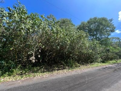 N Niuhi St, Pahoa, HI, 96778