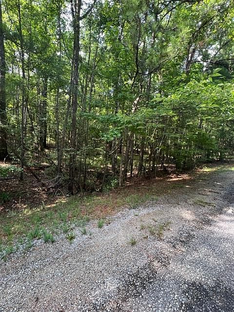 2nd image of LOT 14 Big Buck Ln