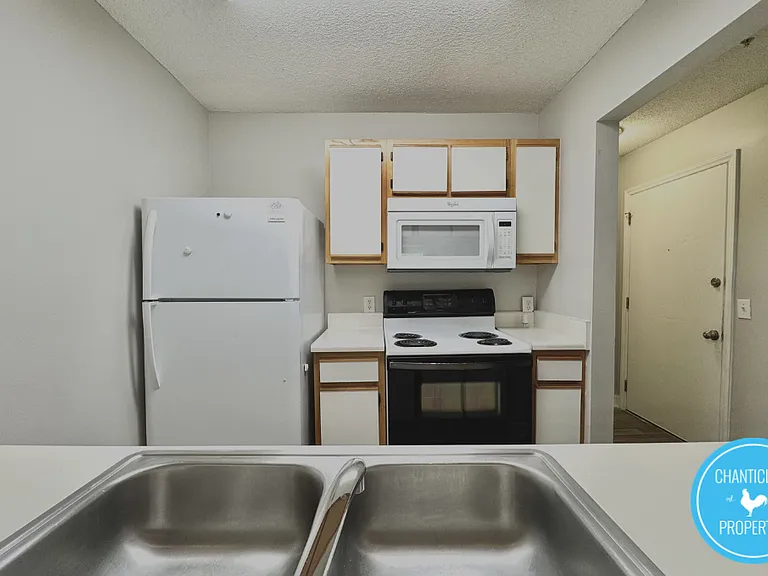 303 Smith Level Rd #1 — Photo 4