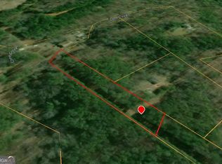 1105 Reavis Rd, Ball Ground, GA 30107