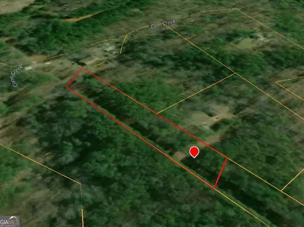 1105 Reavis Rd, Ball Ground, GA 30107