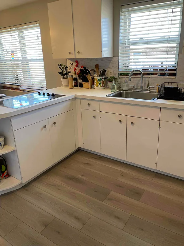 1 bed, 732 sqft, $1,600 — Photo 1