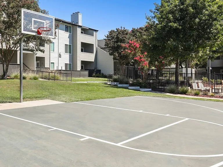 Basketball court