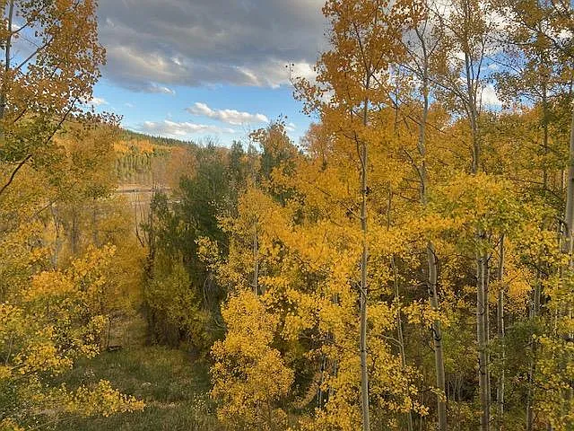 93 Ryan Gulch Ct #A — Photo 1