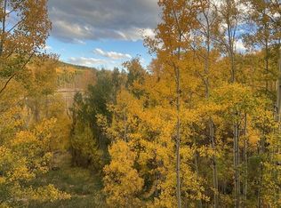 93 Ryan Gulch Ct #A, Silverthorne, CO 80498