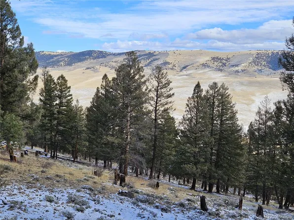 4260 Middle Fork Vista LOT 510, Fairplay, CO 80440